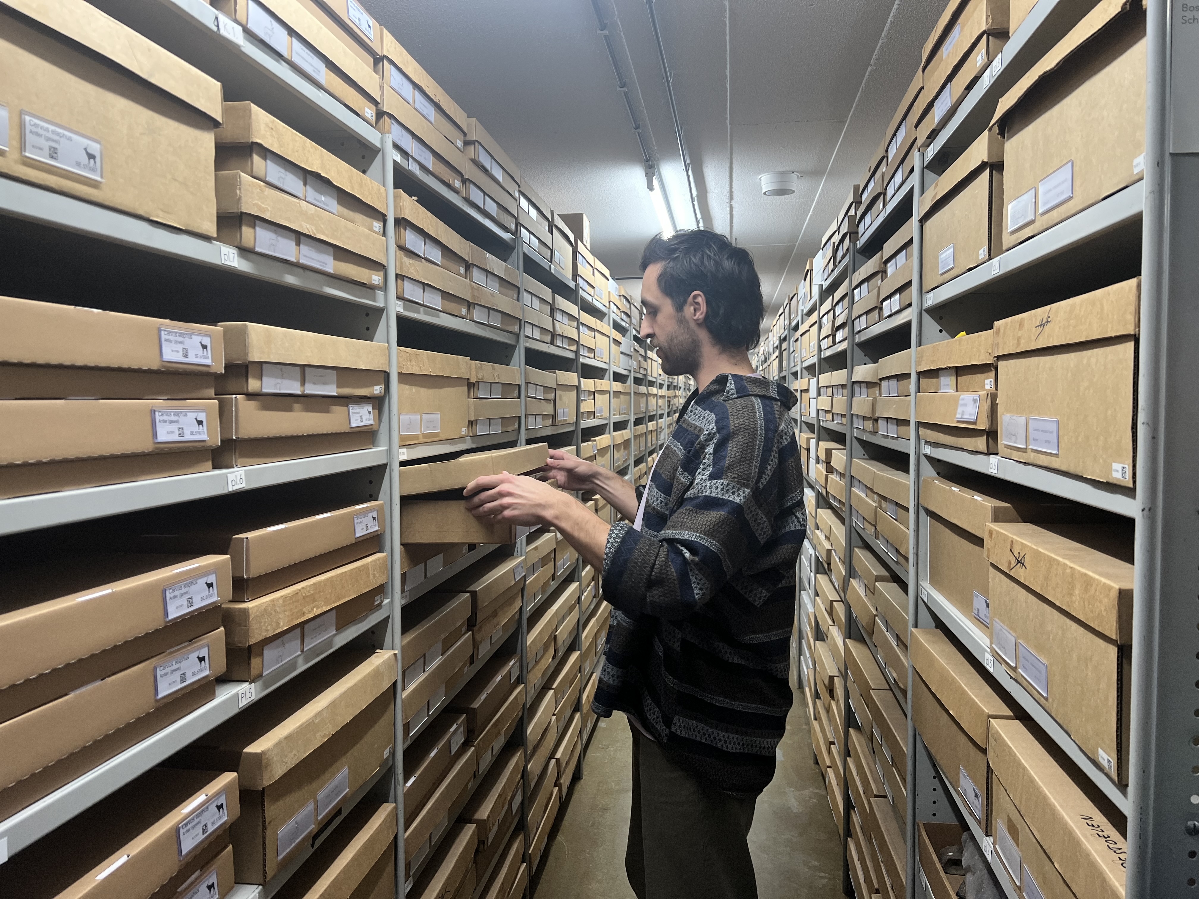 Field day at Naturalis